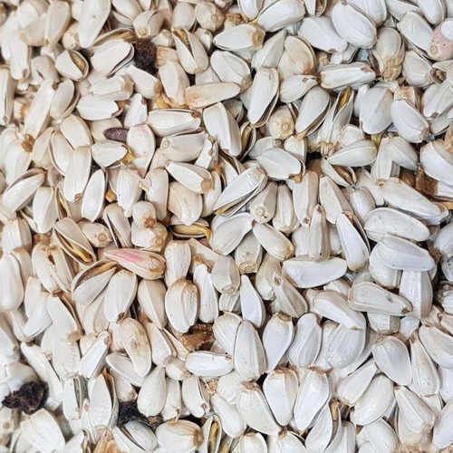 کافشه خندان درجه یک