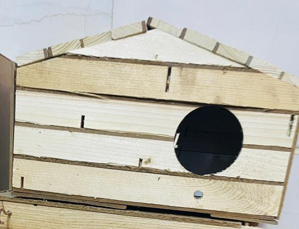 لانه طوطی برزیلی مدل شیروانی