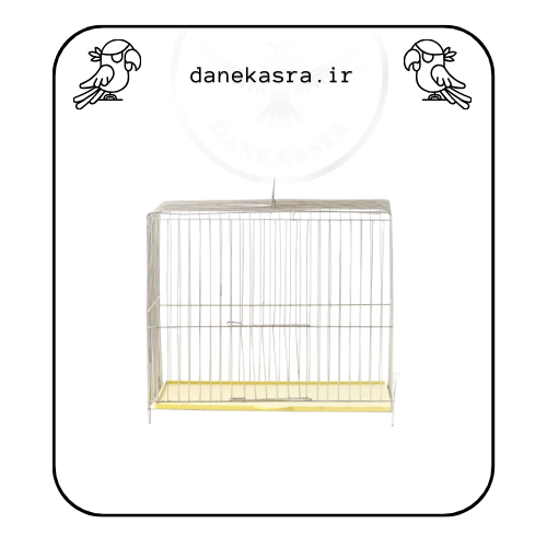 قفس متوسط بازاری