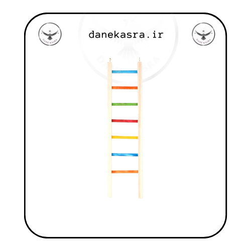 نردبان 60 سانت بزرگ
