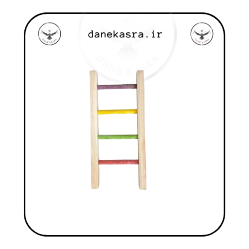 نردبان کوچک طوطی