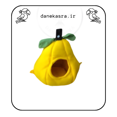 مخفیگاه طوطی