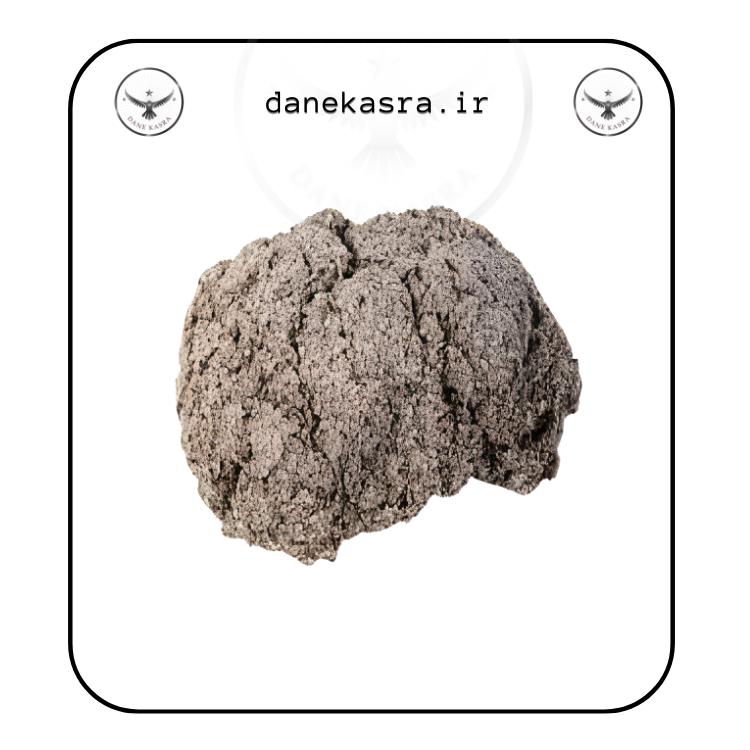 پنبه دانه آشیانه پرنده