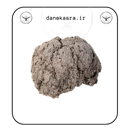 پنبه دانه آشیانه پرنده