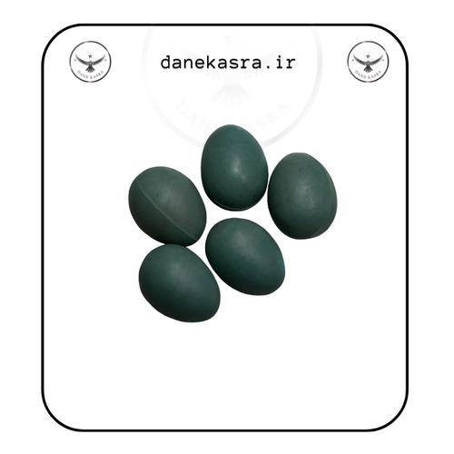 تخم مصنوعی قناری