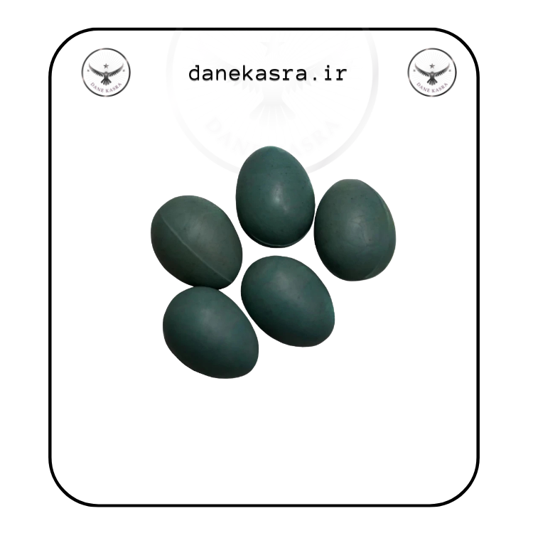 تخم مصنوعی قناری