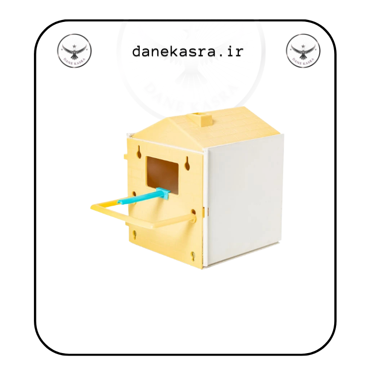 لانه فنچ جاوا
