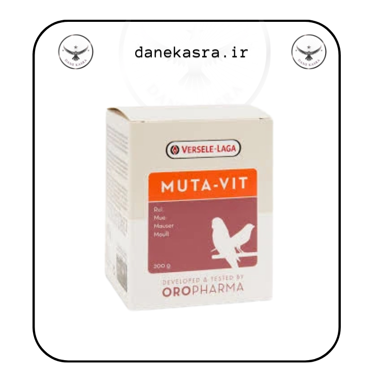 موتا ویت ورسلاگا