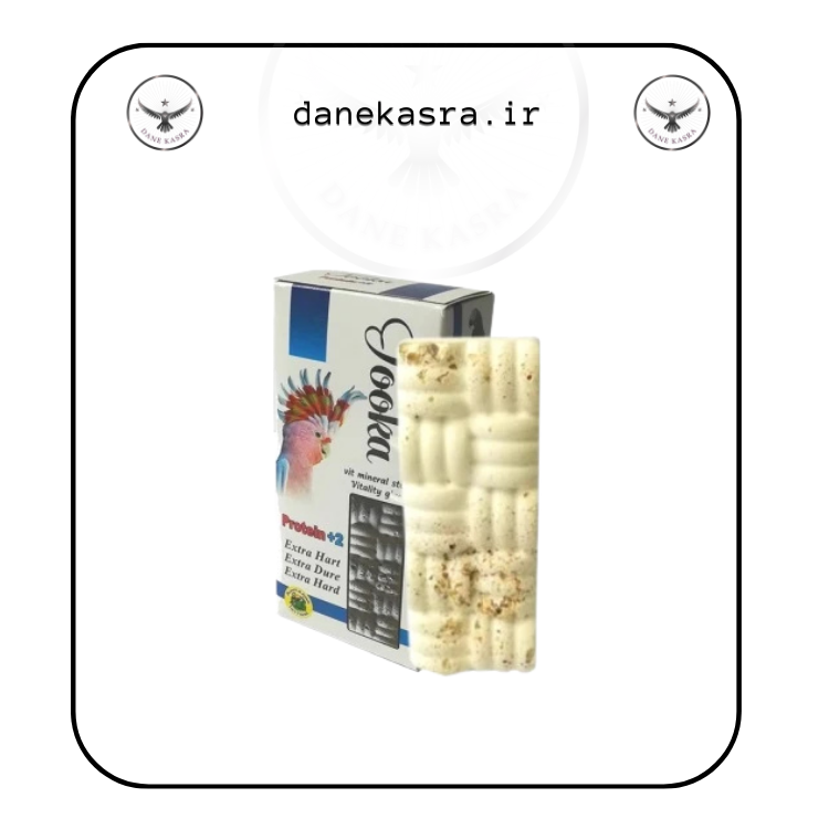 بلوک سنگ کلسیم 100 گرم