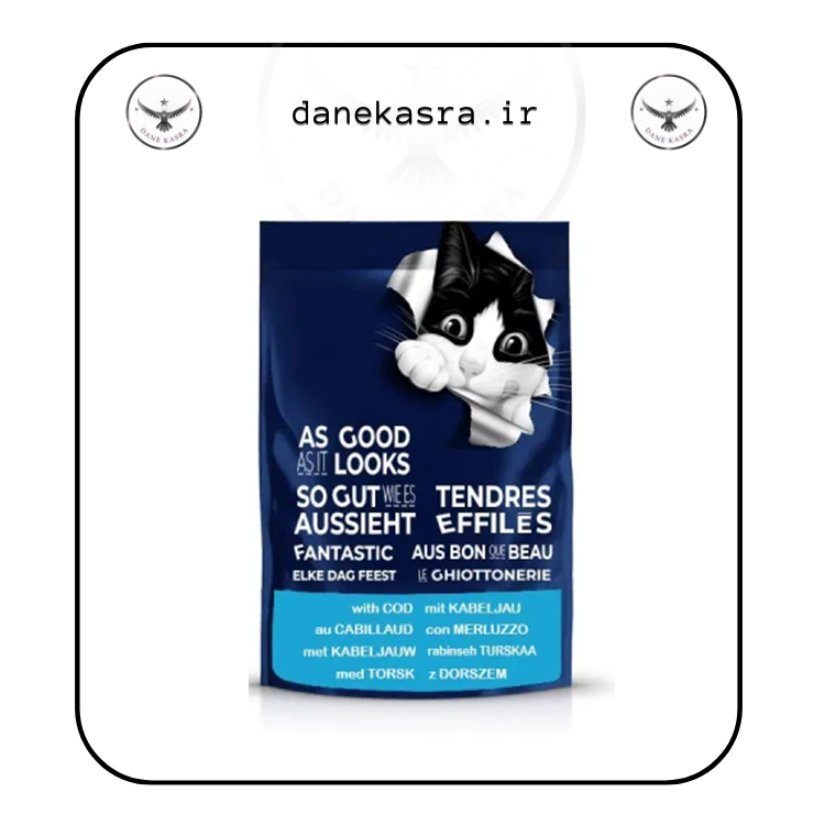 پوچ گربه فلیکس مدل AS GOOD کاد وزن 85 گرم یک عددی