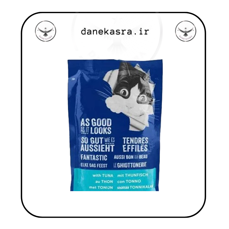 پوچ گربه بالغ فلیکس طعم ماهی تن 85 گرم