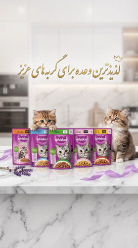پوچ ویسکاس با طعمهای مختلف
