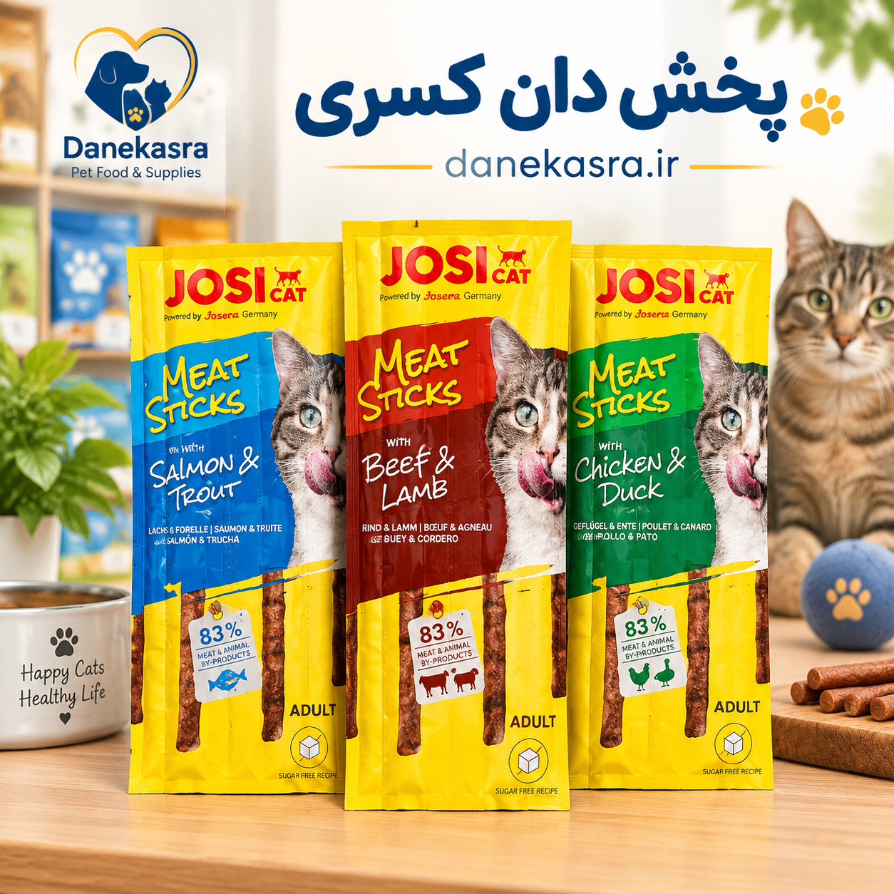 تشویقی مدادی جوسی گربه