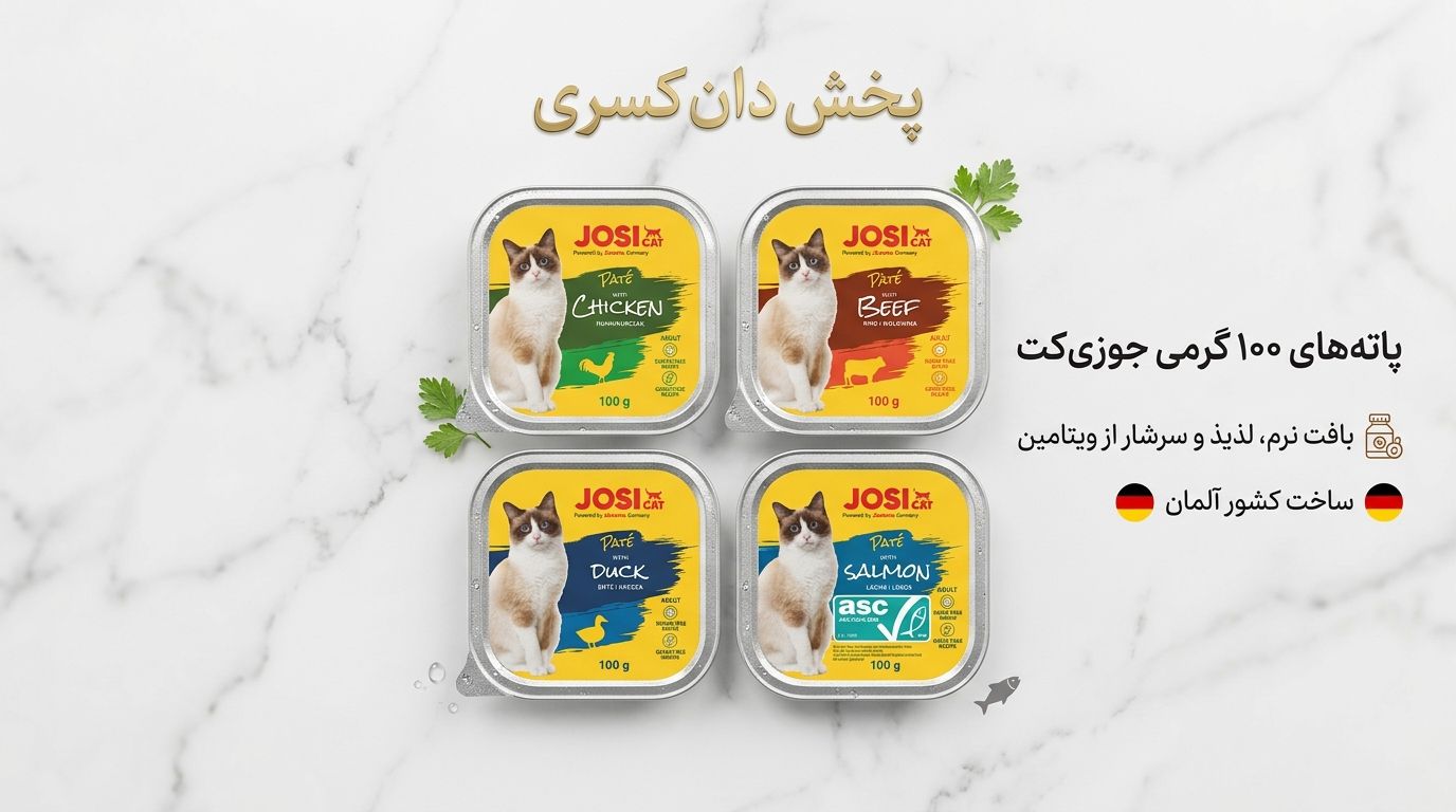ووم گربه جوسی کت جوسی در طعمهای مختلف